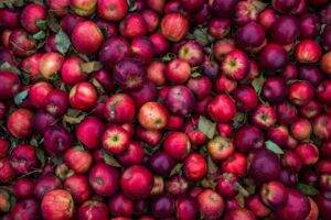 Explorăm gusturile verii: Combinatii delicioase de fructe pentru sucuri racoritoare