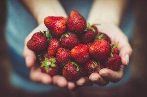 Descoperă gustul sănătos al mezelurilor – opțiuni delicioase pentru o alimentație echilibrată
