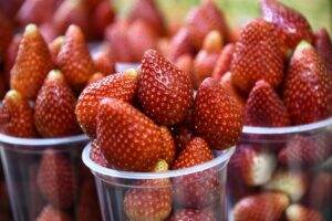 Dieta de schimbare a metabolismului: Cum să-ți transformi corpul într-o mașinărie de ardere a grăsimilor