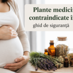 Plante medicinale contraindicate în sarcină: ghid de siguranță