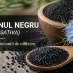 Chimenul negru (Nigella sativa): beneficii și precauții de utilizare